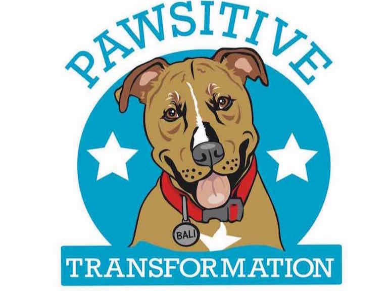 Canine Enrichment Class - Think Pawsitive